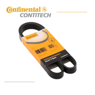 AVX10X635 CINCHIA CONTINENTAL